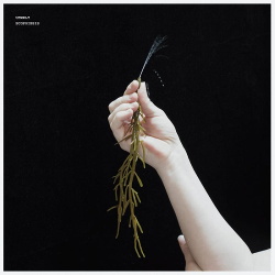 Umwelt - Ecopoiesis (EP) (2019)