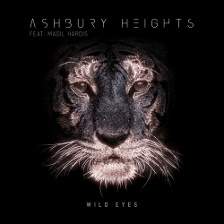 Ashbury Heights - Wild Eyes (feat. Madil Hardis) (Single) (2020)