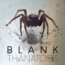 Blank - Thanatosis (2020)