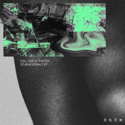 Exil der Schatten - Sturmgewalt (2020)