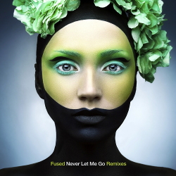 Fused - Never Let Me Go (Remixes) (2020)