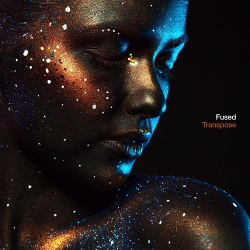 Fused - Transpose (Single) (2020)