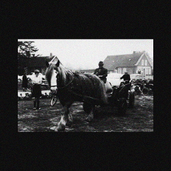 Glaring - Mortality (2020)