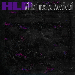 HLP - White-Throated Needletail (2020)