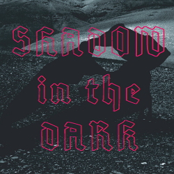 NNHMN - Shadow In The Dark (Limited Edition) (2020)