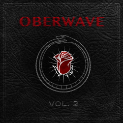 VA - OBERWAVE VOL. 2 (2020)