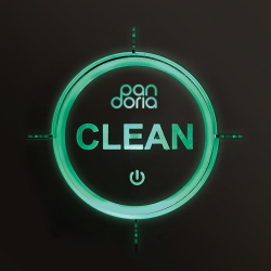 Pandoria - Clean (2020)