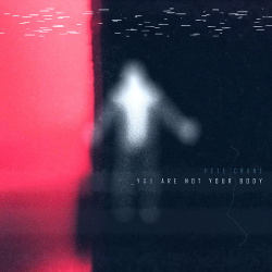 Pete Crane - You Are Not Your Body (Single) (2020)