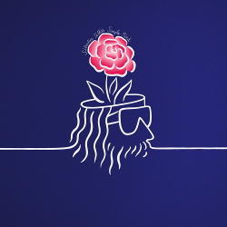 Sébastien Tellier - Simple Mind (2020)