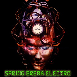 VA - Spring Break Electro (2020)