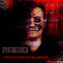 rrorfrequenz - Synthetisch (2020)