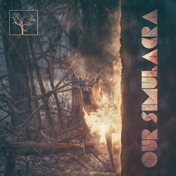 The Flashbulb - Our Simulacra (2020)