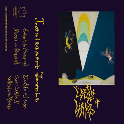 Indiscreet Jewels - Castle Of Liars (2020)