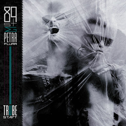 89s & Petra Flurr - Trübe Stadt (2021)
