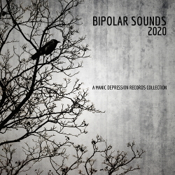 VA - Bipolar Sounds 2020 (2021)