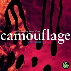 Camouflage - Meanwhile (30th Anniversary Limited Edition) (2CD) (2021)