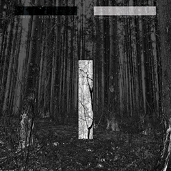 Chris Liebing - Another Day (2021)