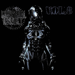 VA - INDUSTRIAL ASSAULT VOL.8 (Disc 2) (2021)
