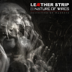 Leaether Strip vs. Nature Of Wires - Destroyed By Madness (Single) (2021)