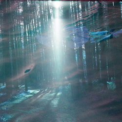Mala Herba - Omnia Vanitas (EP) (2021)