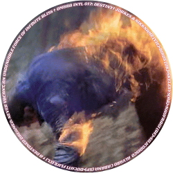 VA - Ombra INTL 017: Destiny (2021)