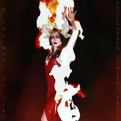 Rosegarden Funeral Party - In the Wake of Fire (2021)