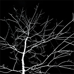 SUFFER RING - Hauntology (2021)