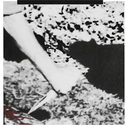 Stateless Sight - Force Of Arms (EP) (2021)