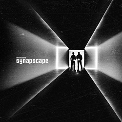 Synapscape - Immaculate (Single) (2021)