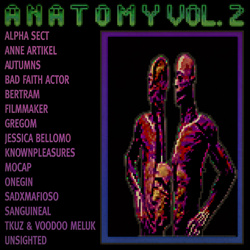 VA - Anatomy Vol. 2 (2022)