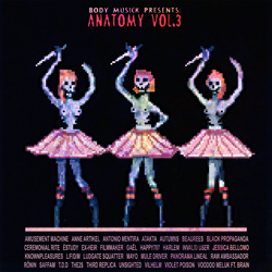 VA - Anatomy Vol. 3 (2022)
