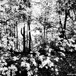 Angel-Maker - Autumn (EP) (2022)