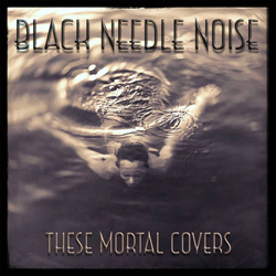 Black Needle Noise - These Mortal Covers (2022)