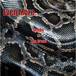 Even More - Snake In The Grass (Single) (2022)