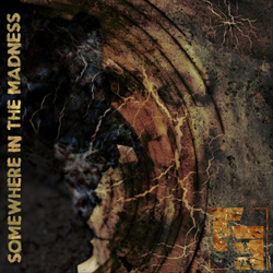 Finkseye - Somewhere in the Madness (Single) (2022)