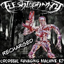 Flesh Insanity - Colossal Ravaging Machine Recharged EP (2022)