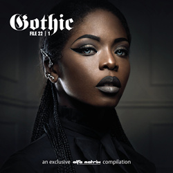 VA - Gothic File 22-1 - An Alfa Matrix Compilation (2022)