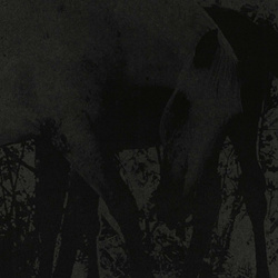 JK Flesh - Veneer of Tolerance (EP) (2022)