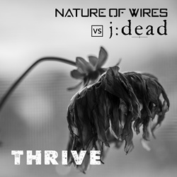 Nature of Wires vs j:dead - Thrive (Single) (2022)
