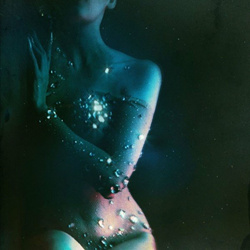 Pure Obsessions & Red Nights - Let Your Obsessions Run Wild (2022)