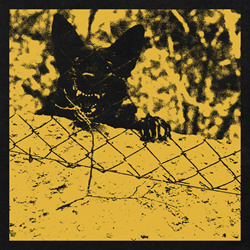 Soft Kill / Lesser Care - 7'' split (2022)