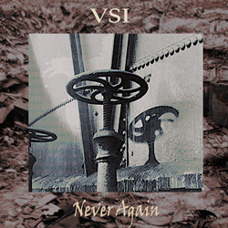 Virtual Space Industrial - Never Again (2022)