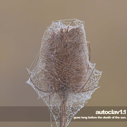 Autoclav1.1 - Gone Long Before The Death Of The Sun (2022)