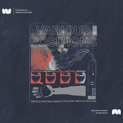 Silver Walks - Various Positions (2022)