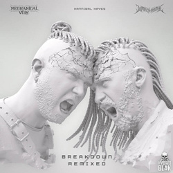 Biomechanimal x Mechanical Vein - Breakdown Remixed (EP) (2023)