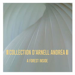 Collection D'Arnell-Andrea - A Forest Inside (2023)