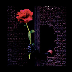 Crush of Souls - (A)Void Love (2023)