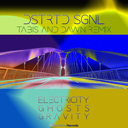 DSTRTD SGNL - Electricity, Ghosts & Gravity Remix (2023)