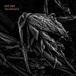 EFF DST - Incarnate (2023)