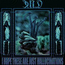 Ǝ.N.D - i hope these are just hallucinations I EP (2023)